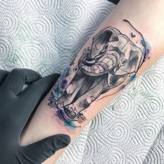 tatuaje de elefante