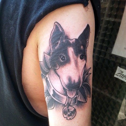 Σκύλος με τατουάζ στο χέρι