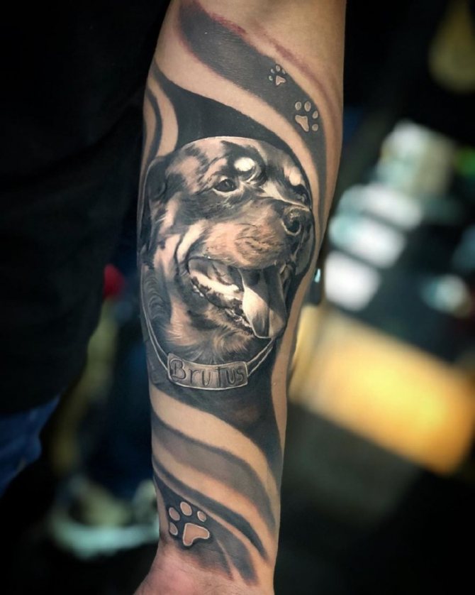 татуировка куче значение за момичета