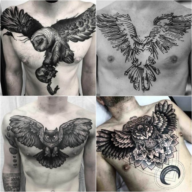 Tattoo Owl - Tattoo Chest Owl - Tattoo Chest Owl