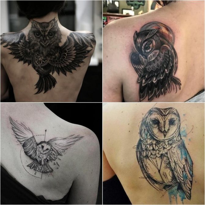 Tatouage d'un hibou - Signification et croquis du tatouage avec un hibou