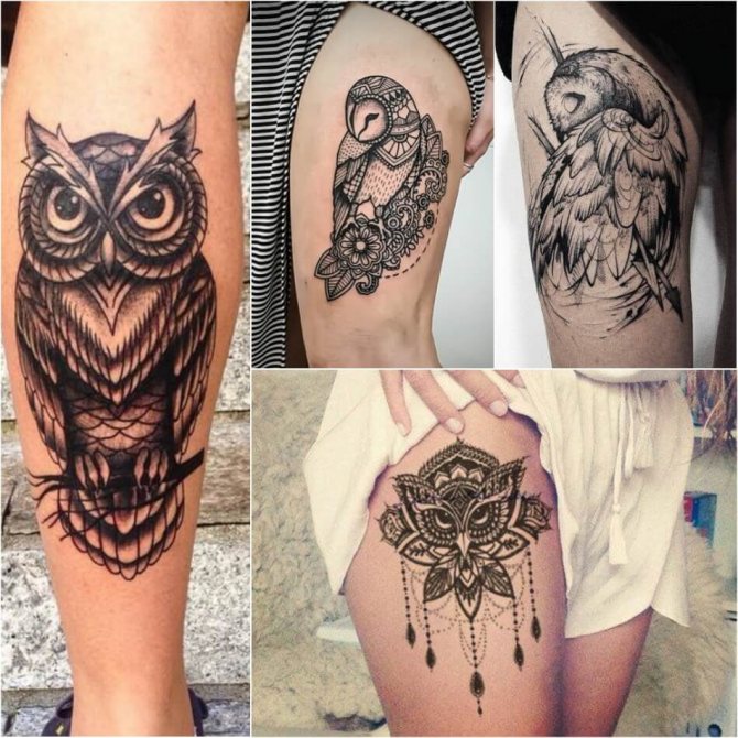 Tatouage d'un hibou - Signification et croquis du tatouage d'un hibou