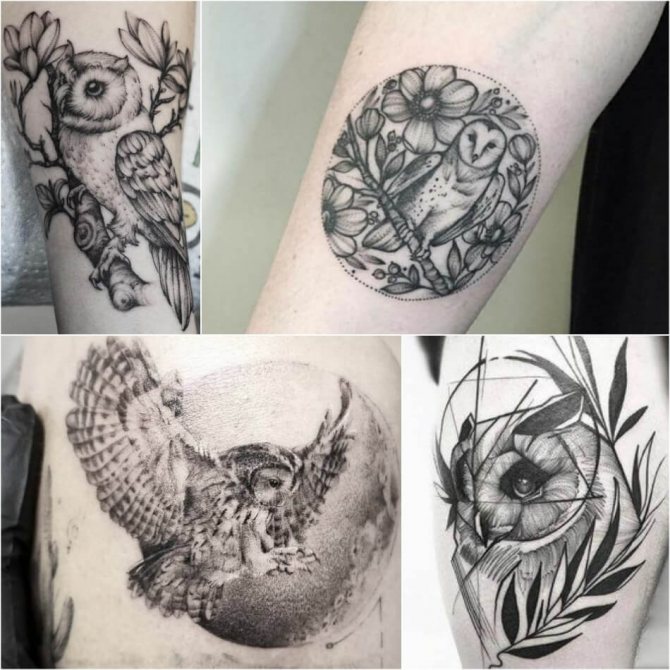 Tattoo Hibou - Signification et croquis du tatouage avec hibou