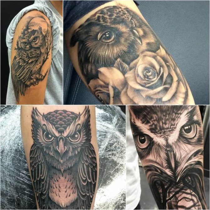 Tatouage d'un hibou - Signification et croquis du tatouage d'un hibou