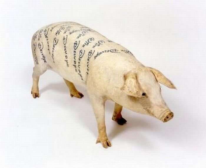 Tattoo pigs: artist beats tattoos on pigs and then sells them for mad money-35 photo-