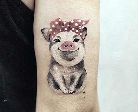 Tattoo Pig