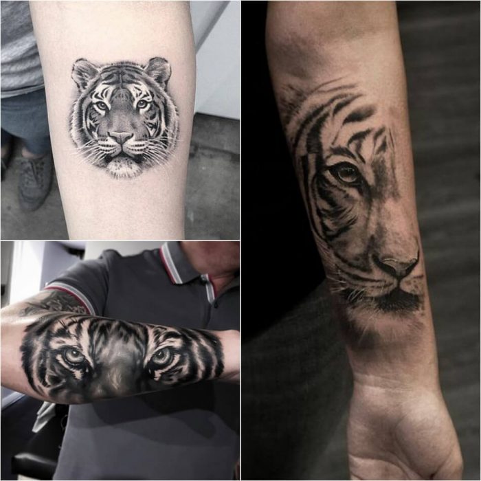 Tatouage tigre - Tatouage tigre masculin - tatouage tigre pour homme