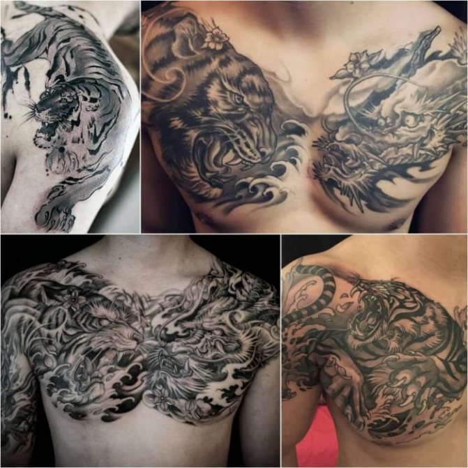 Tattoo tiger - tiger male tattoo - tiger tattoo for men