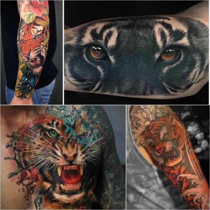 Tiikeritatuointi - Mies Tiger Tattoo - tiikeritatuointi miehille - Tiger tattoo for men