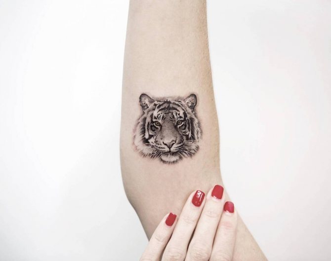 tatuaje de mano de tigre