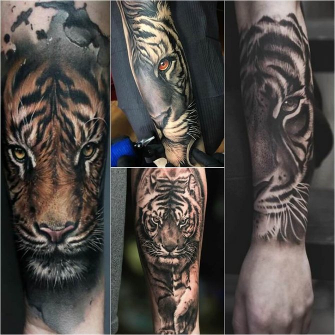 Tatouage tigre - tatouage avant-bras tigre - tatouage avant-bras tigre