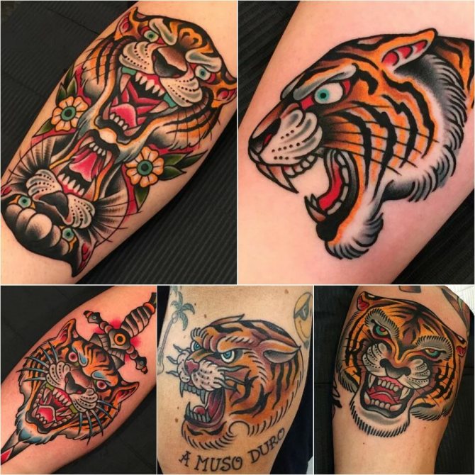 Tattoo tiger - Tiger oldskool tattoo - Tattoo tiger oldskool