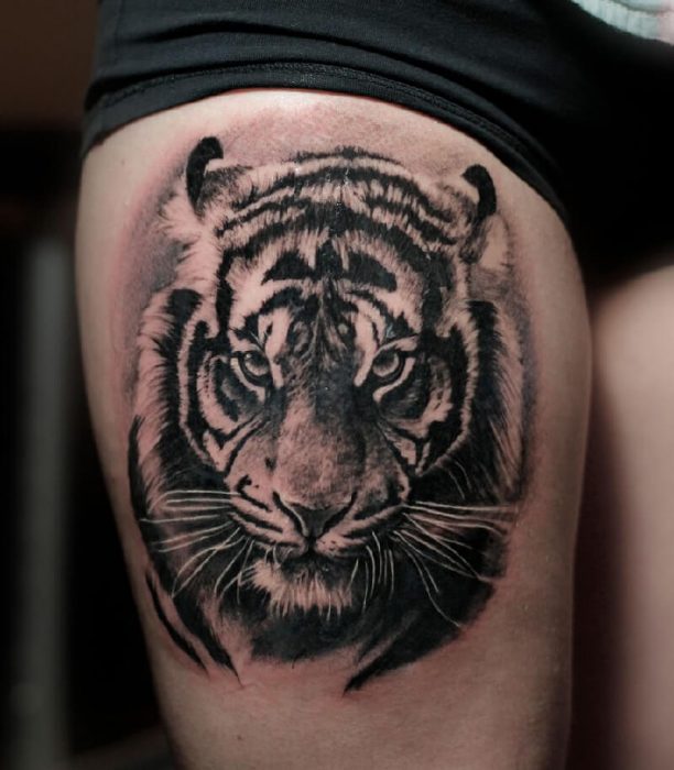 Tattoo Tiger - Tiger Tattoo - Meaning of the tiger tattoo