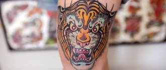 Tattoo Tiger - Tattoo Tiger - Signification de tattoo tiger