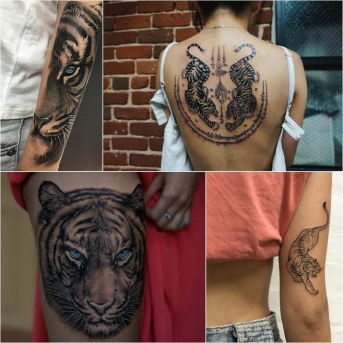 Tatouage de tigre - Tatouage de tigre féminin - Tatouage de tigre pour les filles