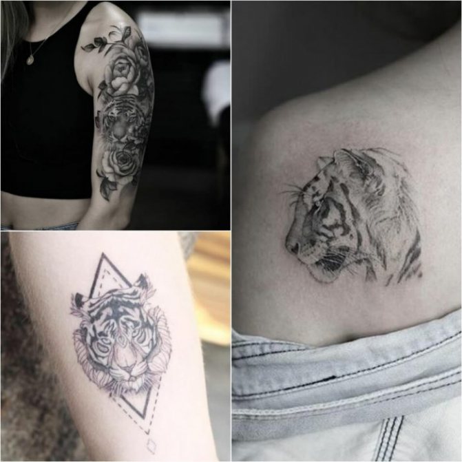 Tattoo Tiger - Female Tiger Tattoo - Tiger Tattoo for Girls