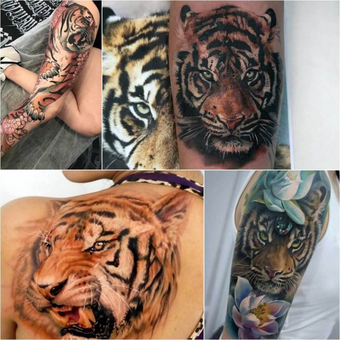 Tattoo Tiger - Female Tiger Tattoo - Tiger Tattoo for Girls
