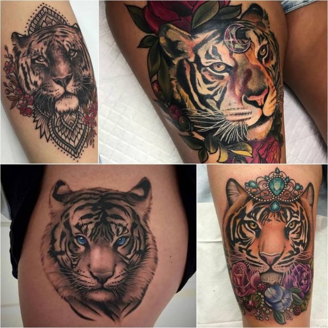 Tiikeritatuointi - Naisen tiikeritatuointi - Tiikeritatuointi tytöille - Tiger tattoo for girls