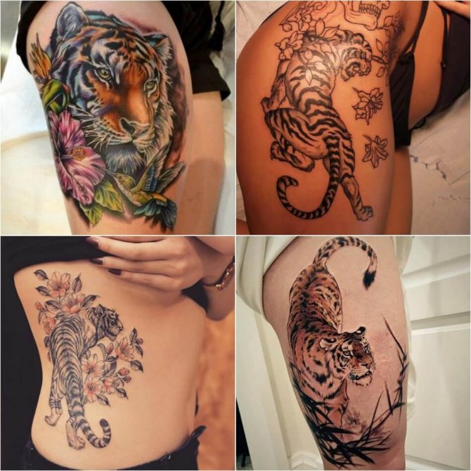 Tiikeritatuointi - Naisen tiikeritatuointi - Tiikeritatuointi tytöille - Tiger tattoo for girls
