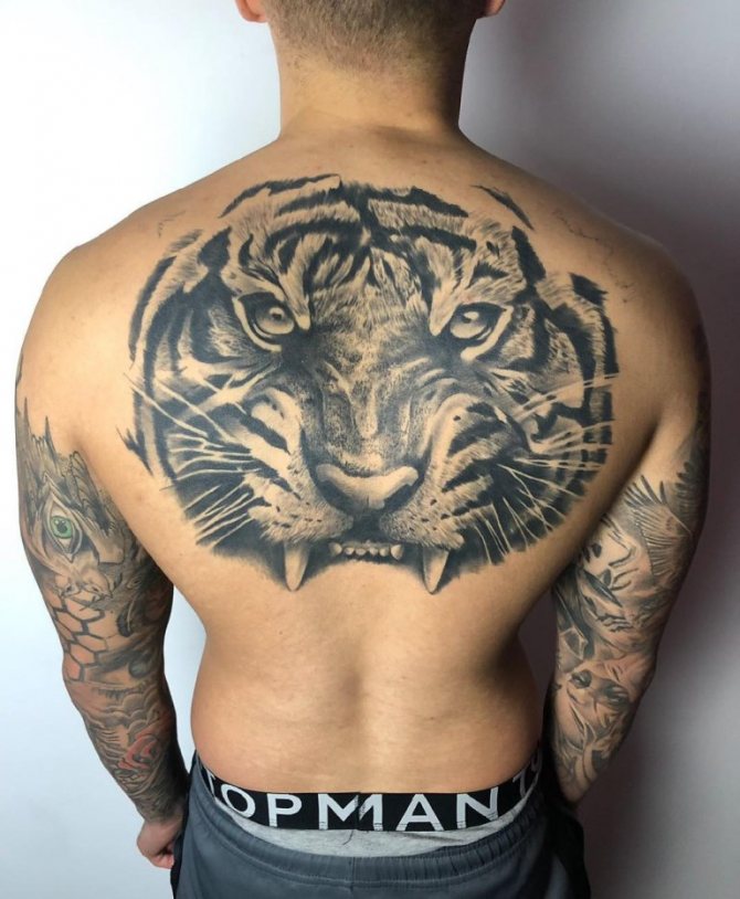 signification du tatouage du tigre pour les hommes