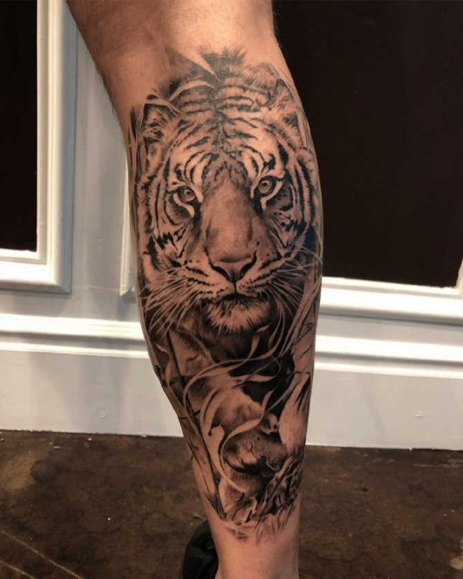 tiger tatovering betydning