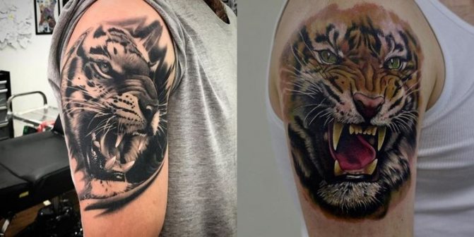 Tatuaje de tigre
