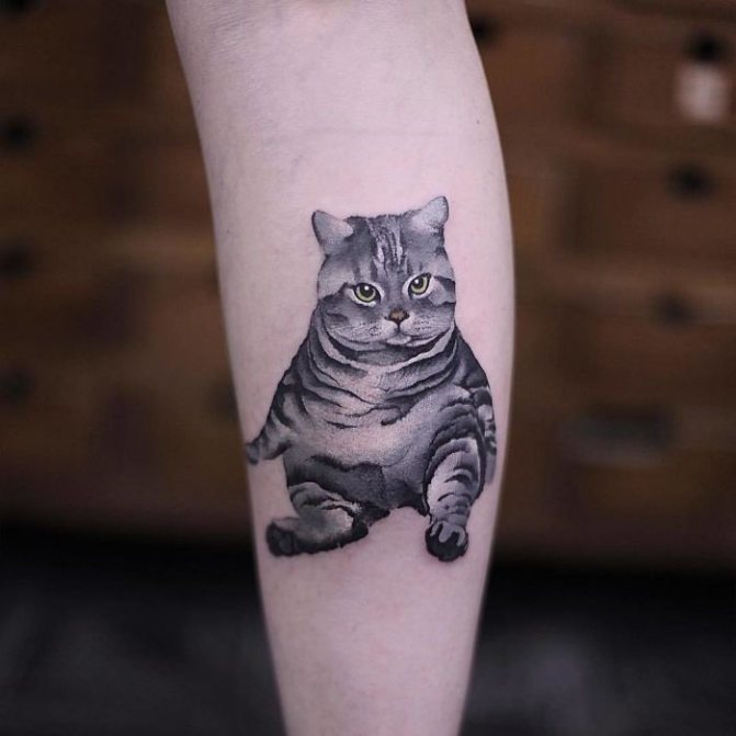 tatouage de gros chat sur le tibia