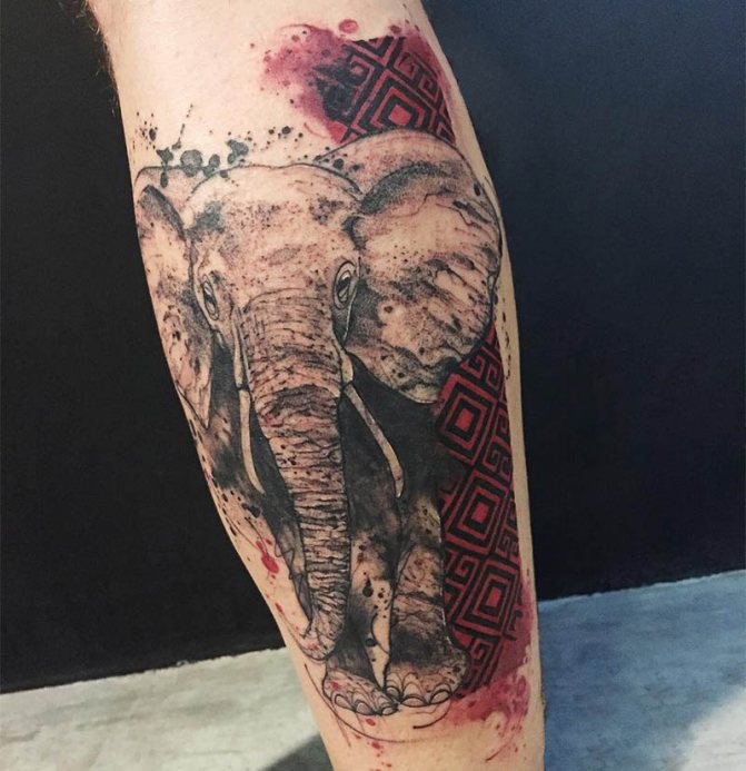 Tattoo Trash Polka - Tattoo Trash Polka sur ma jambe - Tattoo Trash Polka sur ma jambe