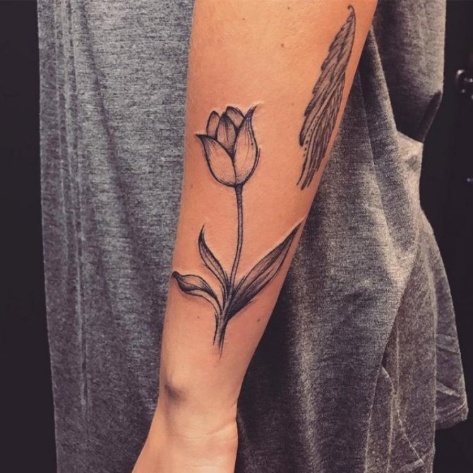 Tulipe tatouée (69 photos) - croquis, signification pour les filles et les hommes, apparence sur la main