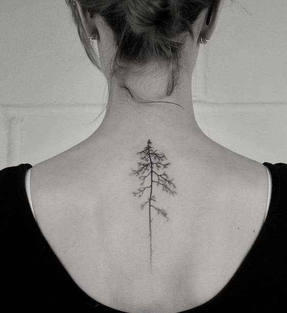 Tattoo in the form of a tree will be an elegant decoration on the spine