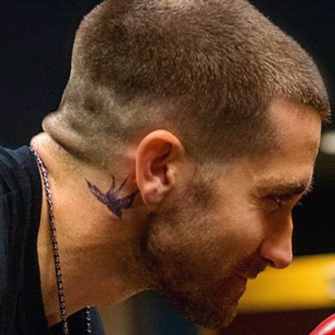 Tatuaje de golondrina en el cuello del actor Jake Gillenhall