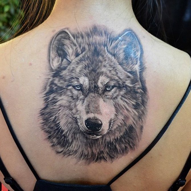 Tattoo in the shape of a wolf
