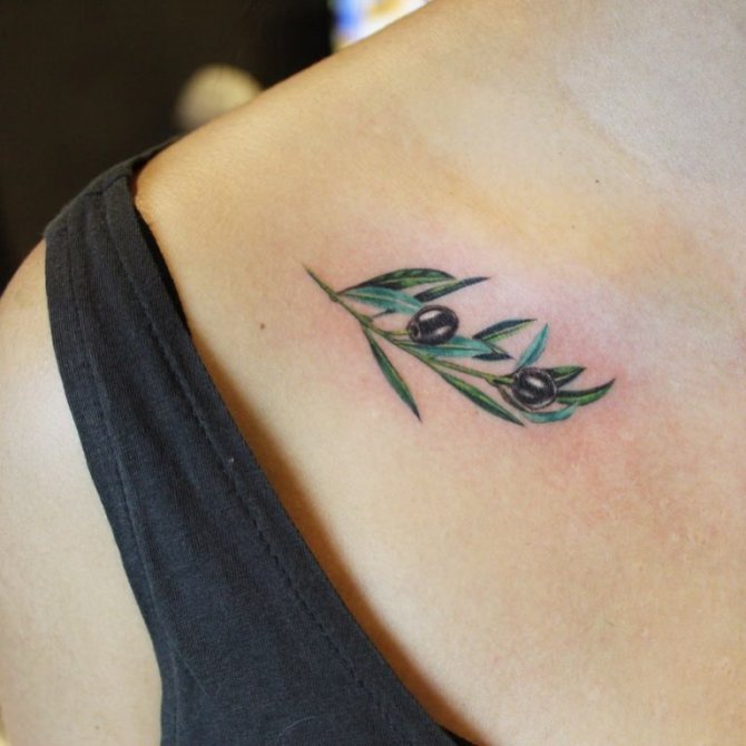 tatuaggio ramo d'ulivo