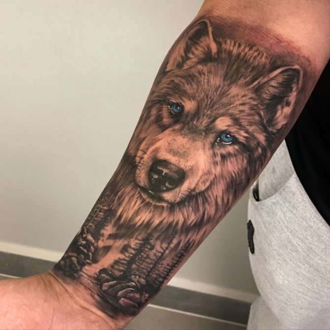 significato del tatuaggio della lupa