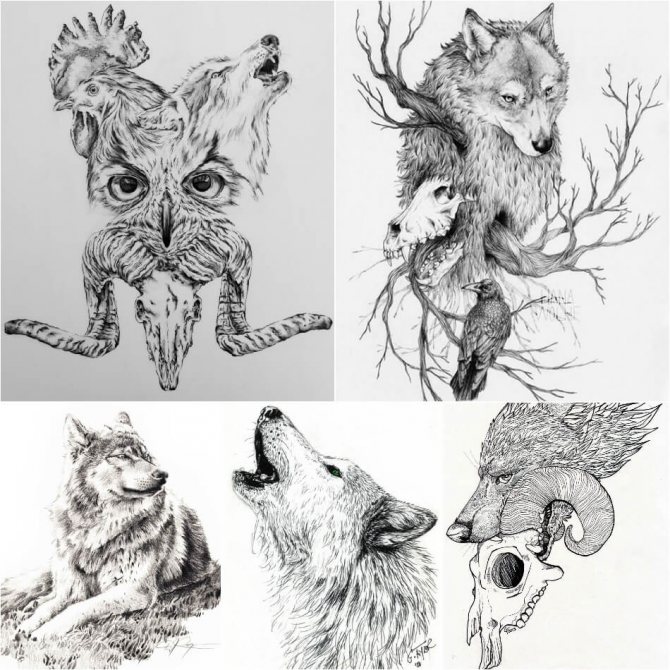 Tattoo Wolf - Esquisses de Tattoo Wolf - Esquisses de Tattoo avec Wolf