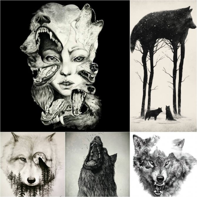 Tattoo Wolf - Esquisses de Tattoo Wolf - Esquisses de Tattoo avec Wolf