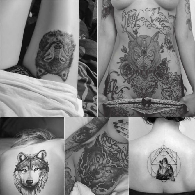 Tatouage de loup - tatouage de loup pour les filles - signification et croquis du tatouage de loup