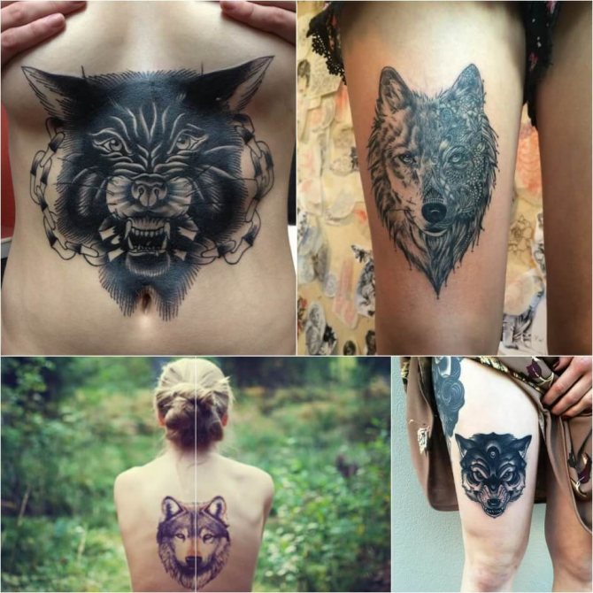 Tatouage de loup - tatouage de loup pour les filles - signification et croquis du tatouage de loup