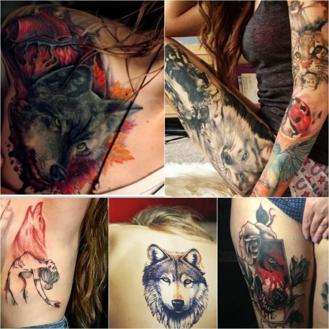 Tatouage de loup - tatouage de loup pour les filles - signification et croquis du tatouage de loup
