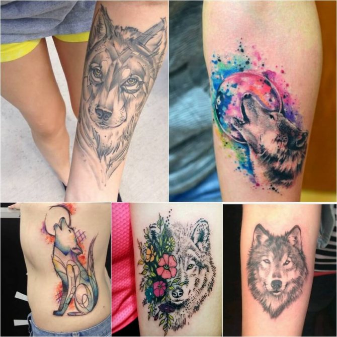 Tatouage de loup - tatouage de loup pour les filles - signification et croquis du tatouage de loup