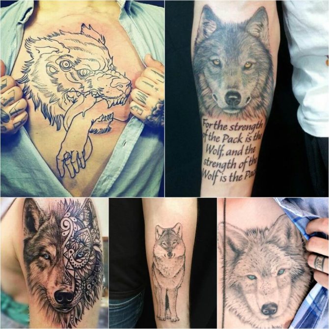 Tatouage Loup - Tatouage Loup pour Hommes - Tatouage Loup Masculin - Signification et Esquisse du Tatouage Loup