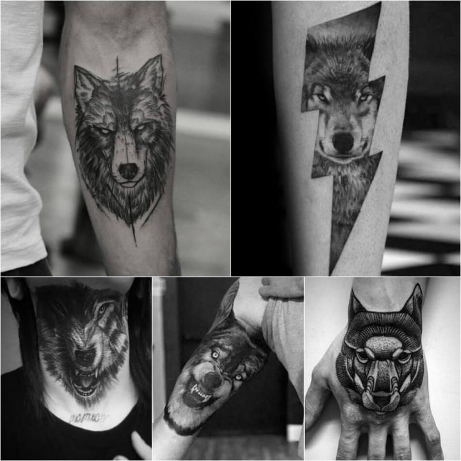 Τατουάζ Wolf - Τατουάζ Wolf για άνδρες - Τατουάζ Wolf Male - Wolf Tattoo Σημασία και σκίτσο