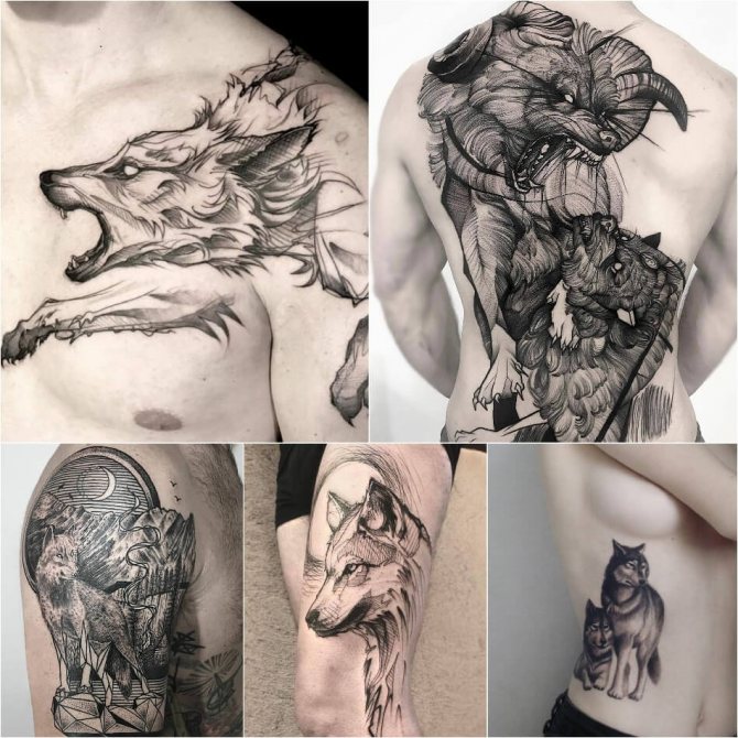 Loup de tatouage - Loup de tatouage - Significations et croquis du loup de tatouage