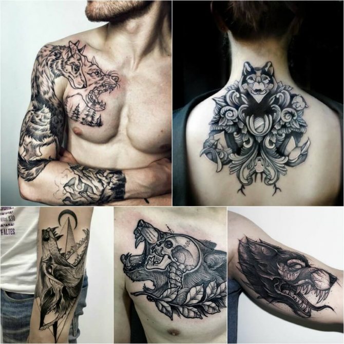 Tattoo wolf - Tattoo wolf - Tattoo wolf signification et dessin
