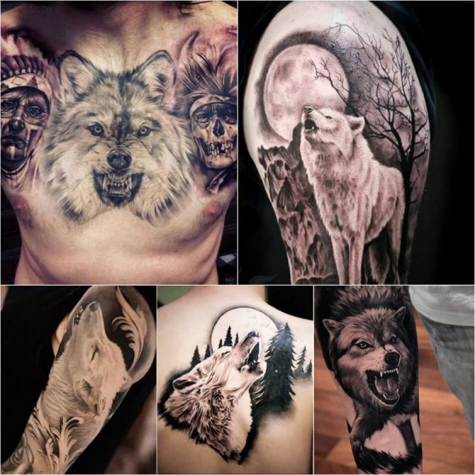 Tattoo loup - Subtilité du tatouage de loup - Tatouage de loup blanc