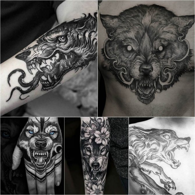 Tattoo wolf - Subtilité du tatouage de loup - Tattoo wolf grin - Signification du tatouage wolf grin