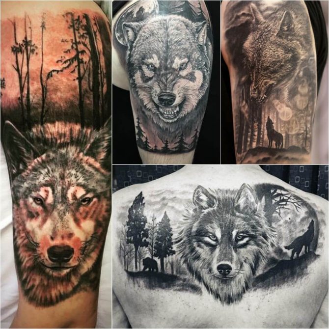 Tatouage loup - Subtilité du tatouage loup - Tatouage loup dans les bois