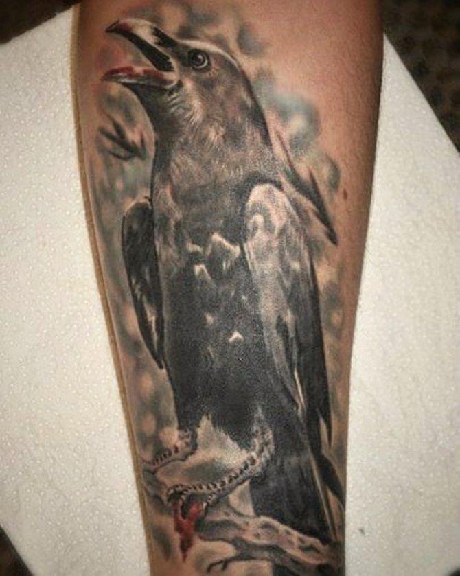 Egy holló tetoválása