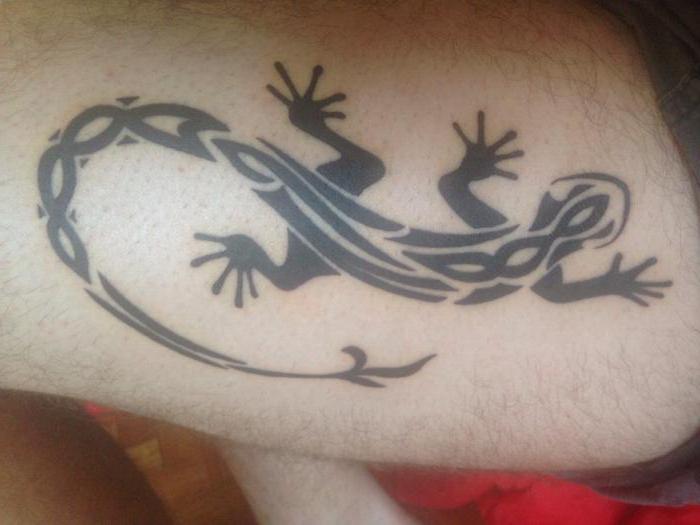 Татуиран гущер