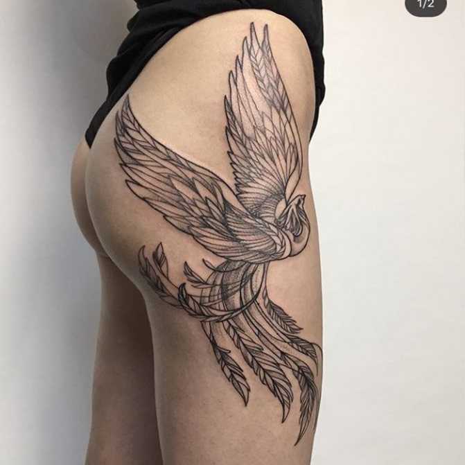 Tatouage d'oiseau de feu pour les filles